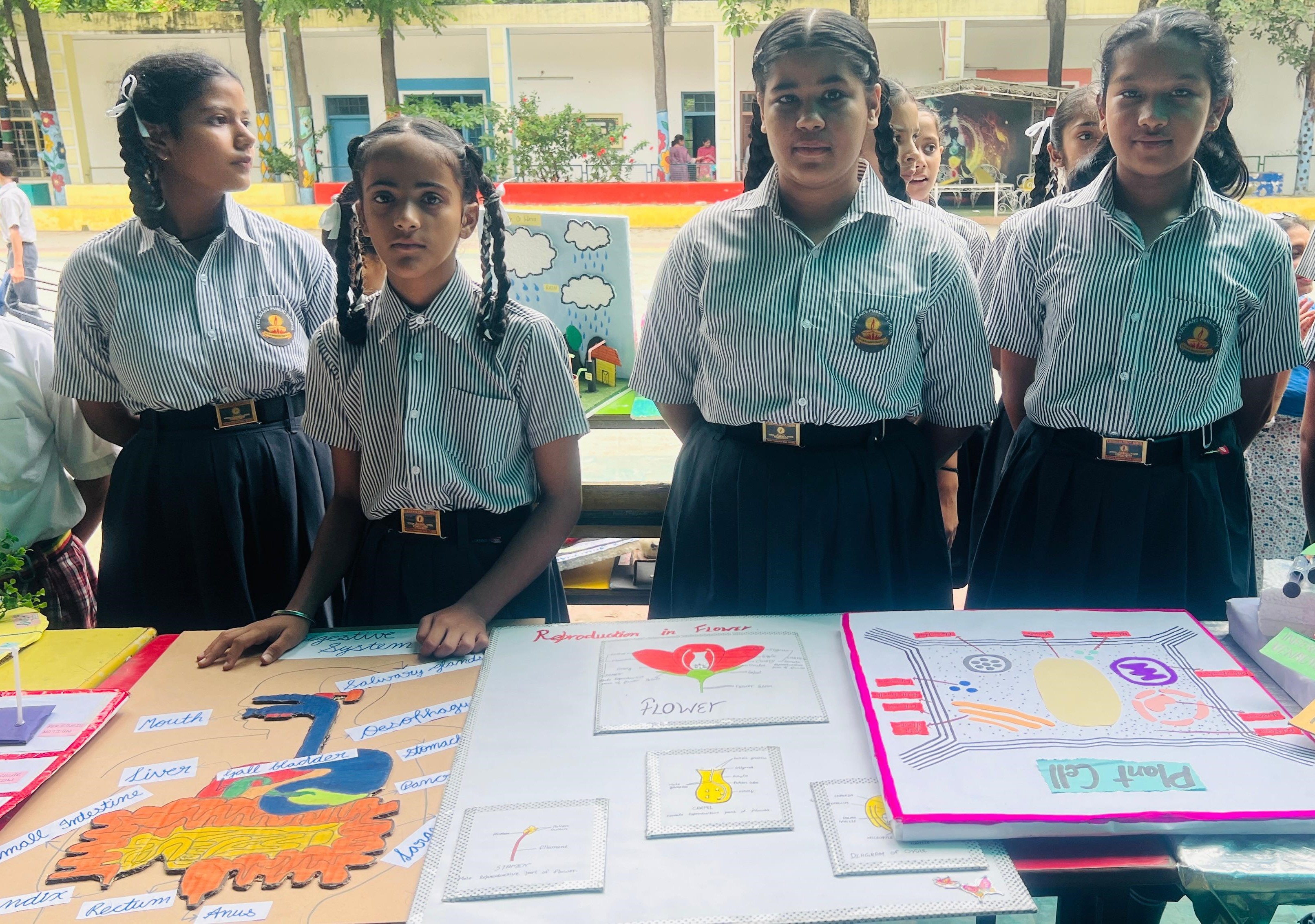 Integrated Exhibition